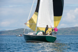 oystercatcher 3245c whyw16 mon 800 2104w